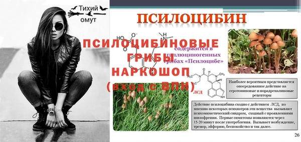 spice Армянск