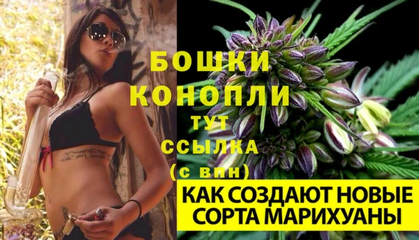 гашиш Арсеньев
